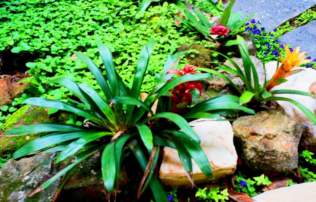 Pousada Casalinda Camburi Camburi  Esterno foto